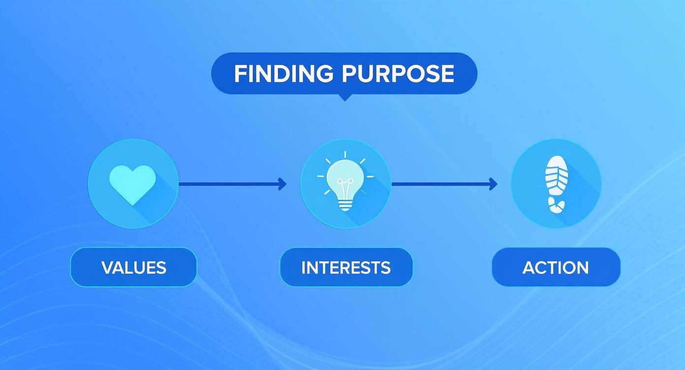 Infographic about what am i meant to do with my life