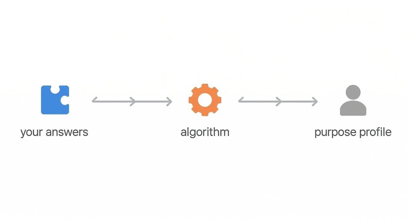 Infographic about what is my purpose quiz