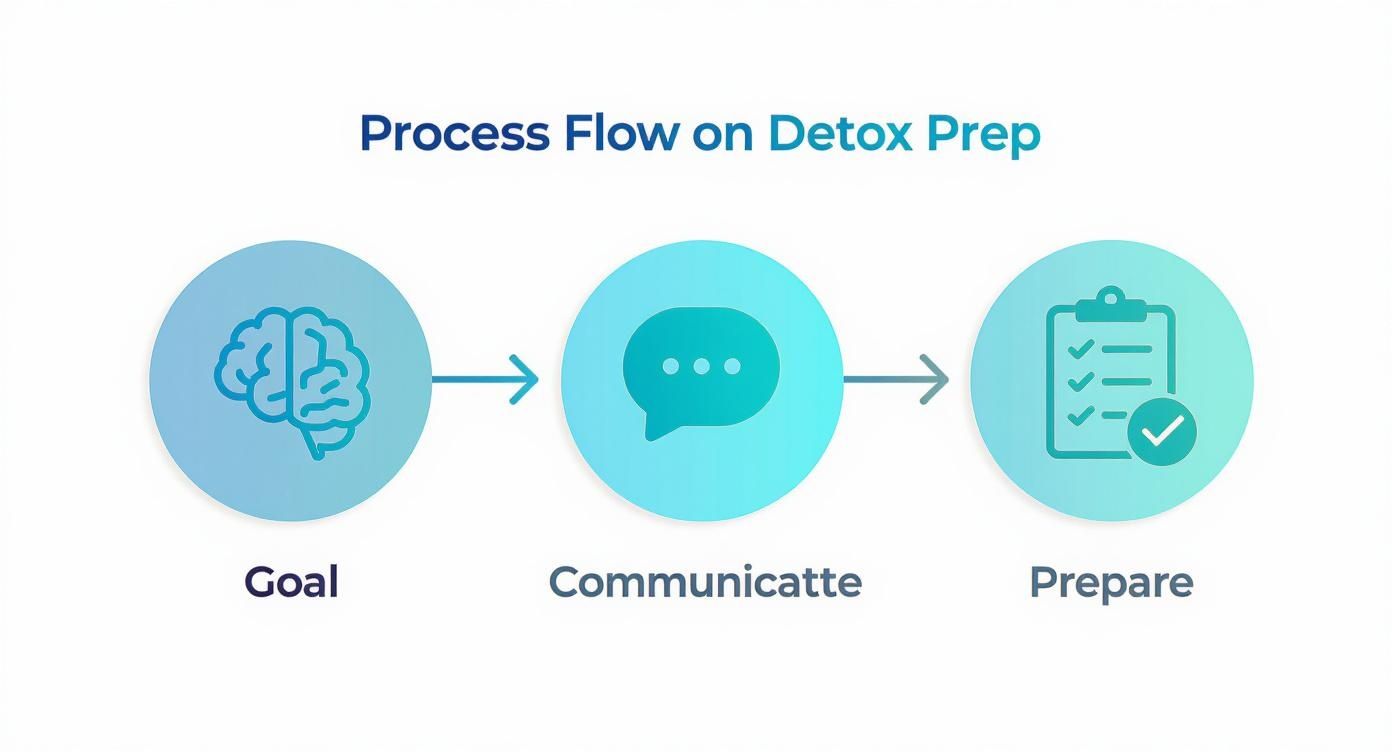 Process flow diagram for detox preparation showing three steps: Goal, Communicatte, and Prepare with relevant icons.