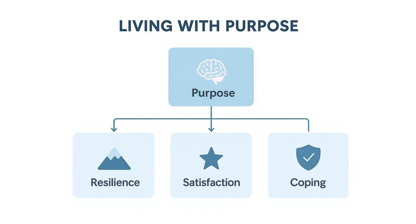 Infographic about purpose driven life meaning