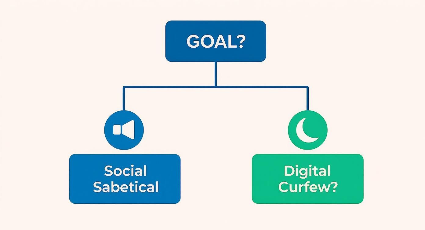 Flowchart illustrating two digital detox goals: 'Social Sabbatical' with a speaker icon, and 'Digital Curfew?' with a moon icon.