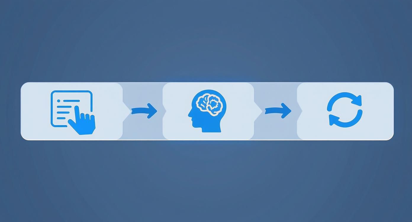 Three-step process diagram showing user interaction, brain processing, and refresh cycle for digital habits