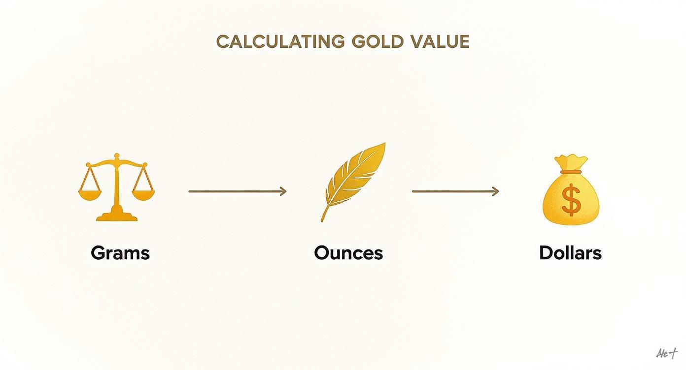 Infographic about 1000 grams of gold worth
