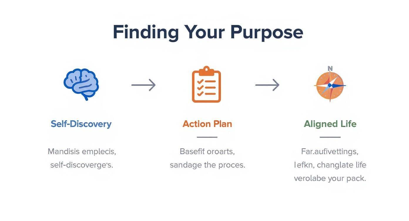 Infographic about find your purpose in life