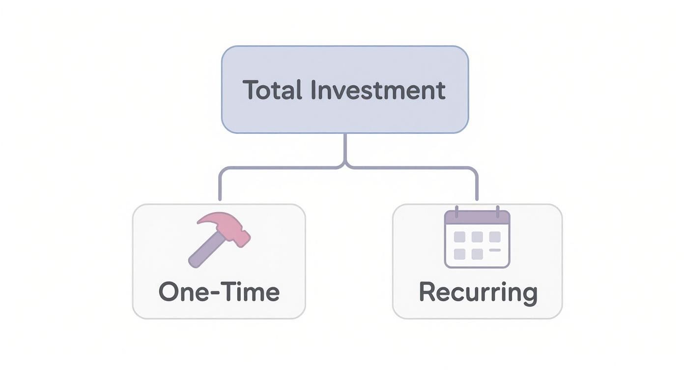 A flowchart categorizing 'Total Investment' into 'One-Time' (with a hammer icon) and 'Recurring' (with a calendar icon).