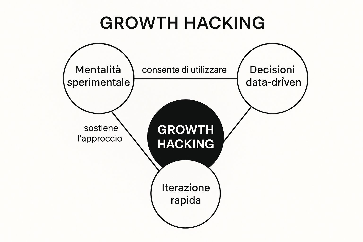 Infografica che mostra i concetti chiave del Growth Hacking