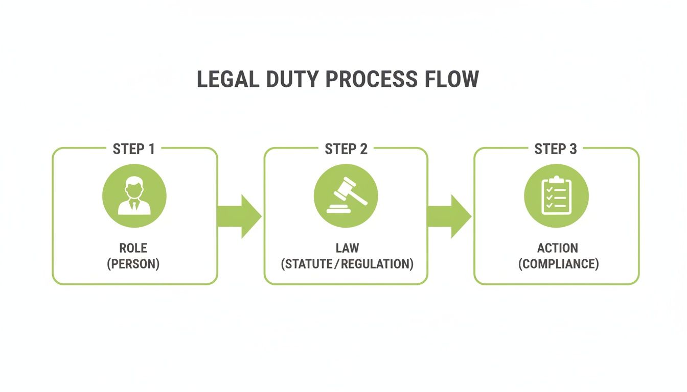 A three-step legal duty process flow: Role (Person), Law (Statute/Regulation), and Action (Compliance).
