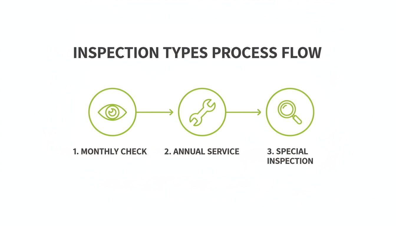 Process flow diagram showing three types of inspections: monthly check, annual service, and special inspection, with icons.
