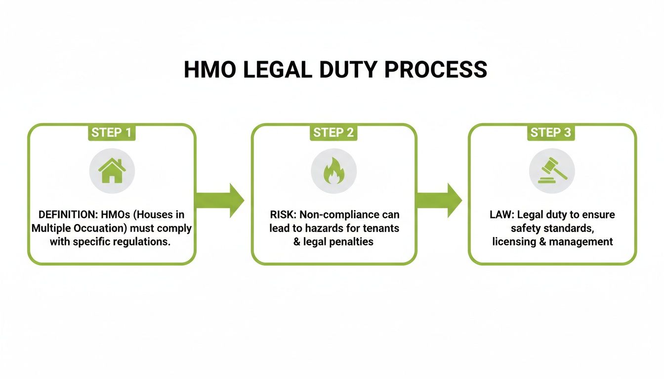 Infographic illustrating the HMO legal duty process: definition, risk of non-compliance, and legal requirements.