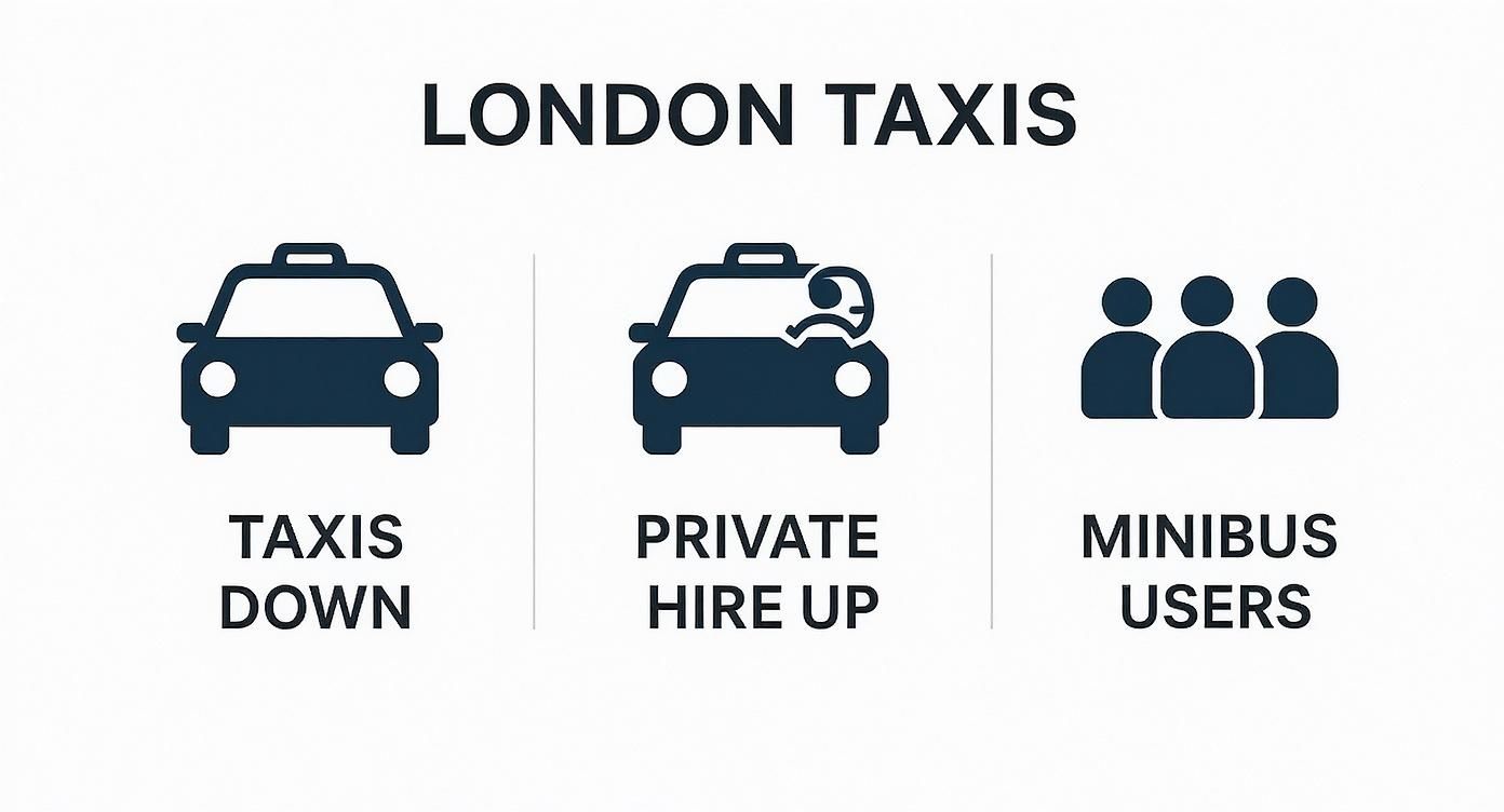 Infographic about london minibus taxi
