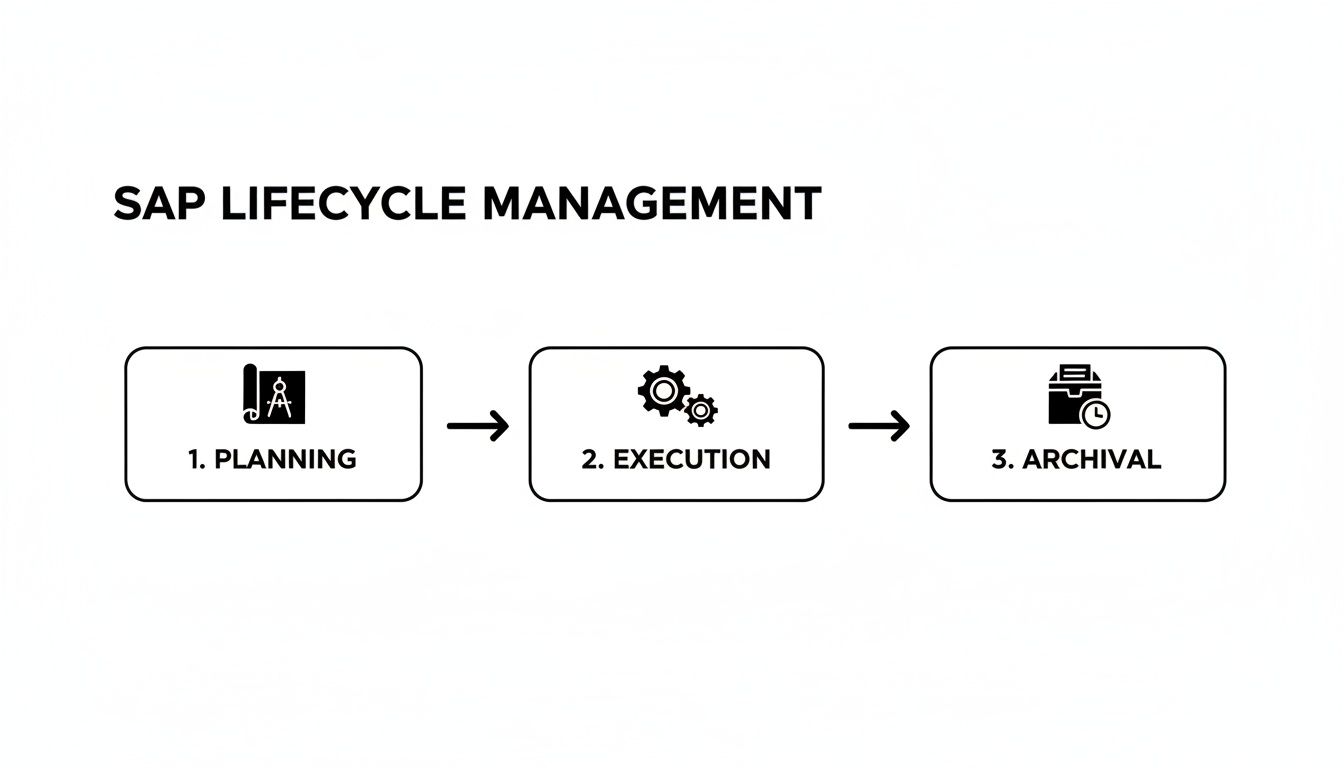A flowchart illustrates the three stages of SAP Lifecycle Management: Planning, Execution, and Archival.