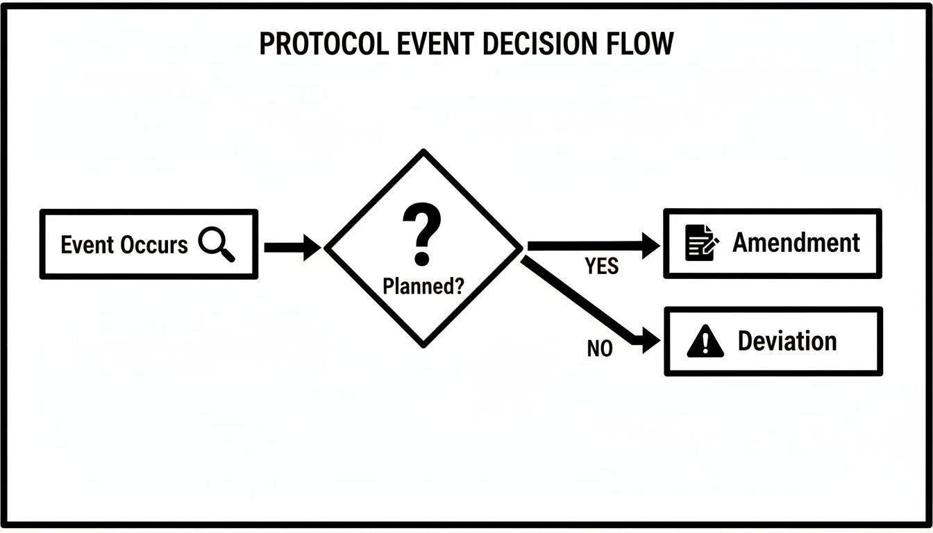 Flowchart illustrating the decision process for protocol events, distinguishing between planned amendments and deviations.