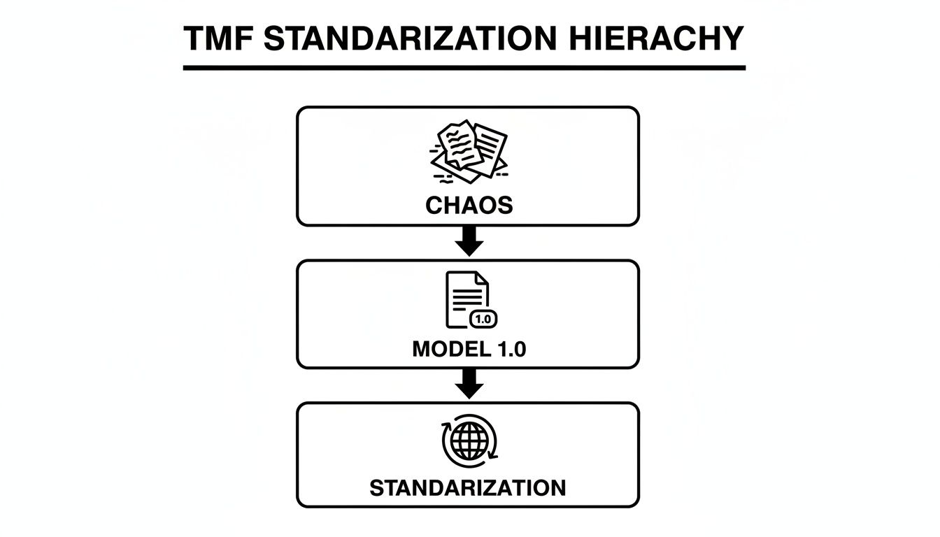 TMF standardization hierarchy illustrating the progression from chaos through Model 1.0 to full standardization.
