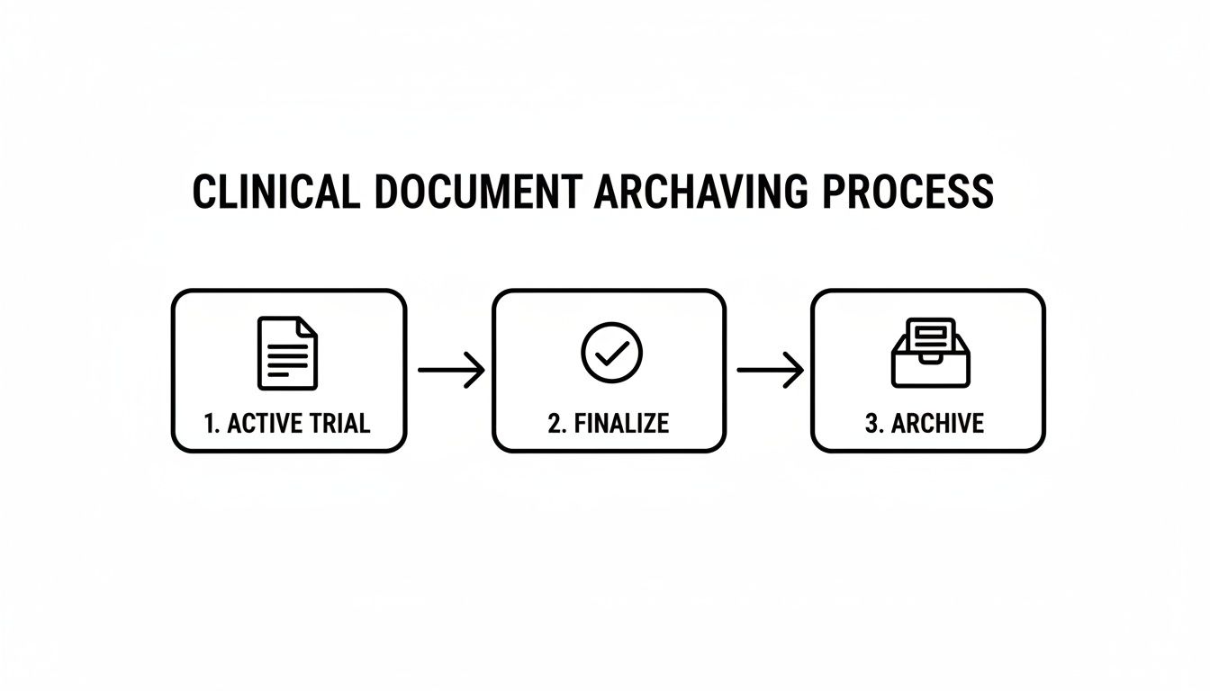 Flowchart illustrating the clinical document archiving process with steps: active trial, finalize, and archive.