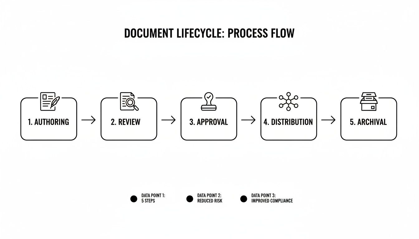 A document lifecycle process flow diagram showing 5 steps: authoring, review, approval, distribution, and archival.