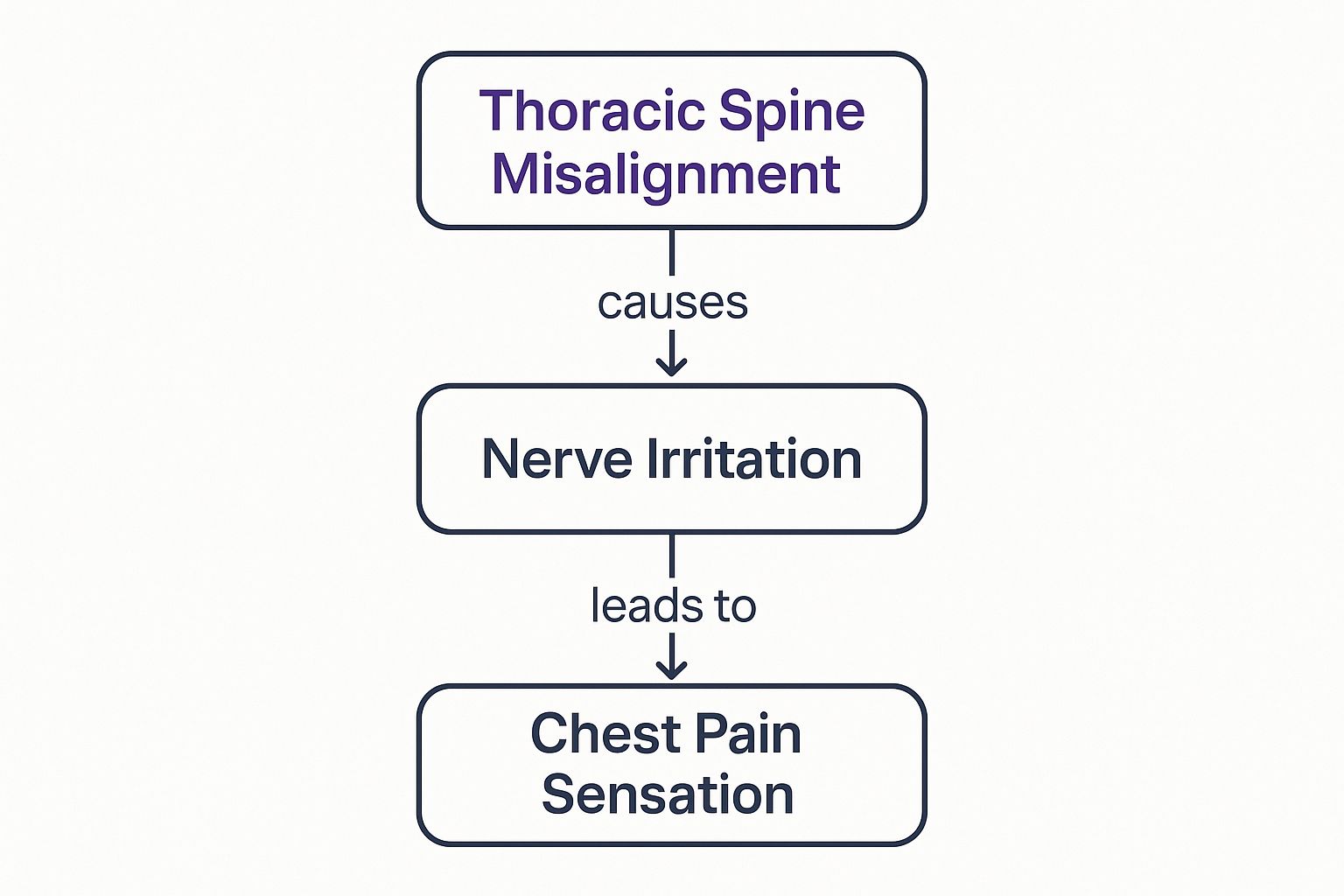 Understanding Back and Chest Pain