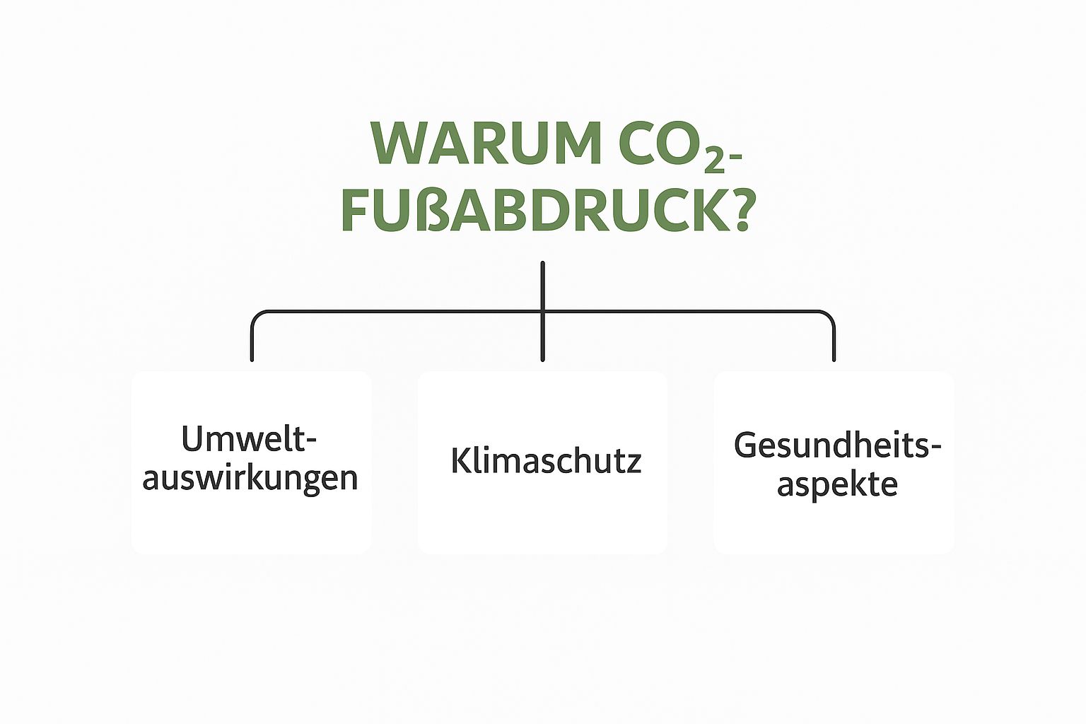 Infographic about co2 fußabdruck rechner