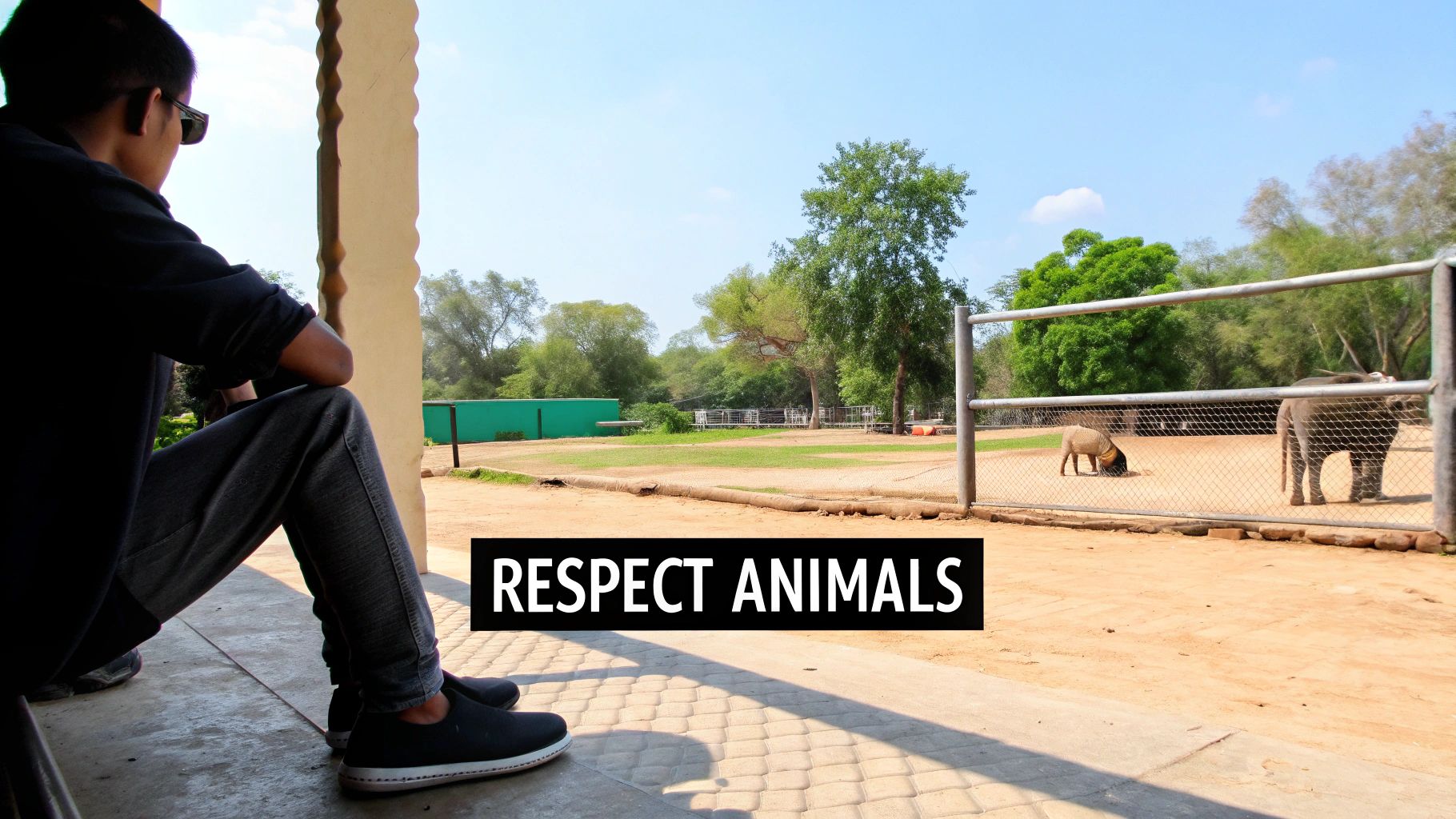 A person in khaki shirt and hat feeding a giraffe from an elevated platform.