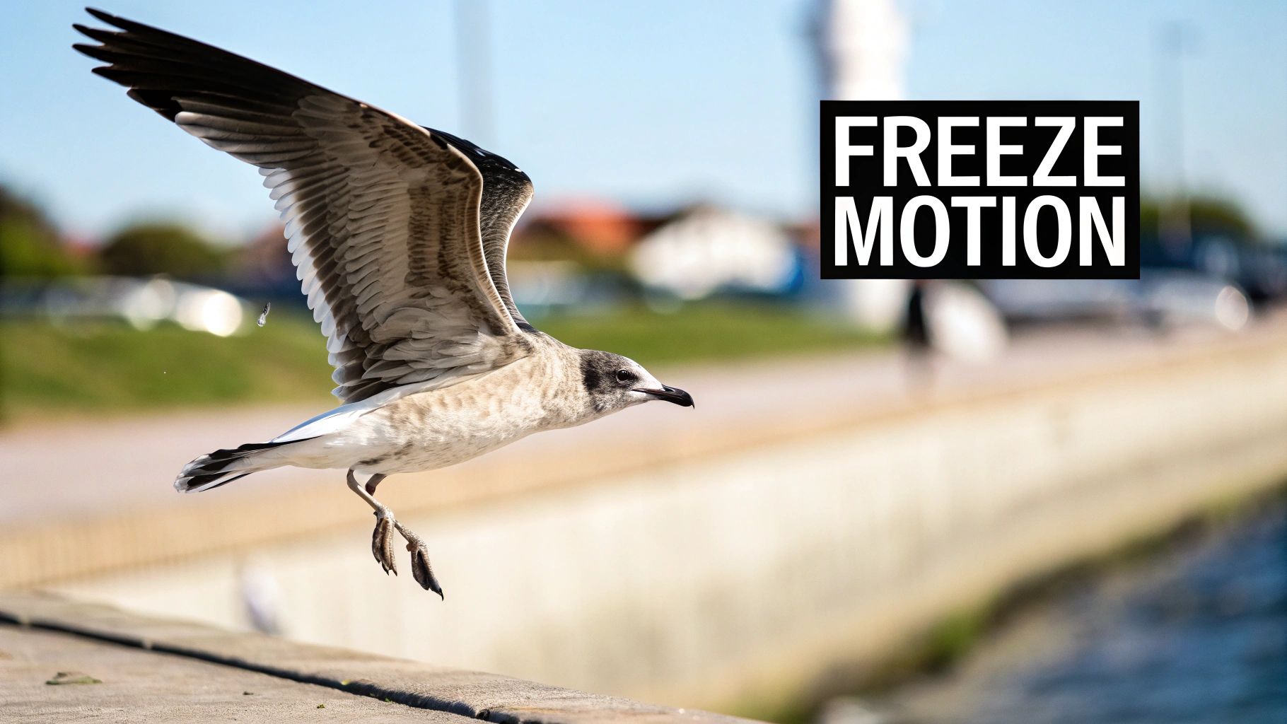 Lone eagle perched on a branch, with a soft, blurred background emphasizing the subject.
