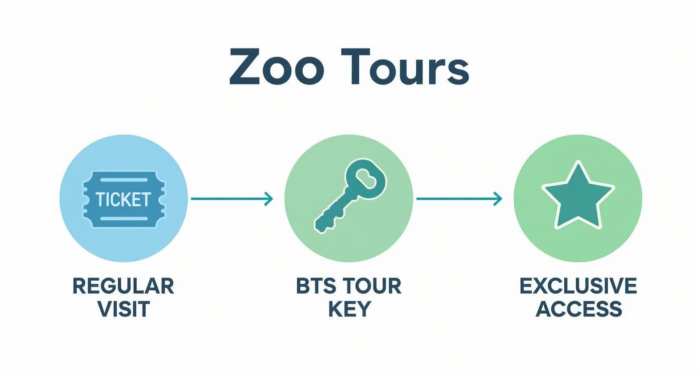 Infographic about behind the scenes zoo tours