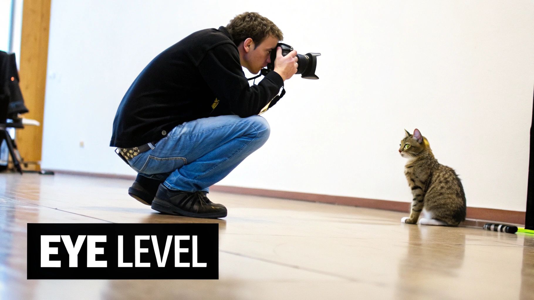 A person lies on the grass to photograph a small dog at eye level, creating an intimate portrait.