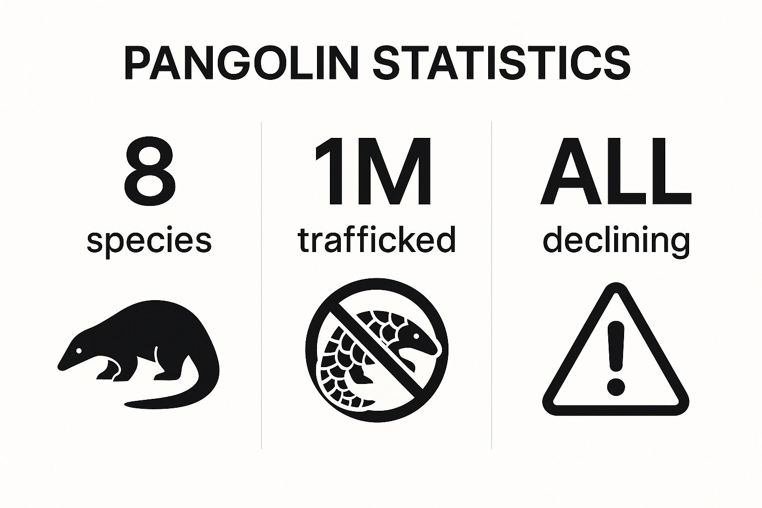 Infographic showing key data about Pangolin (All Eight Species)