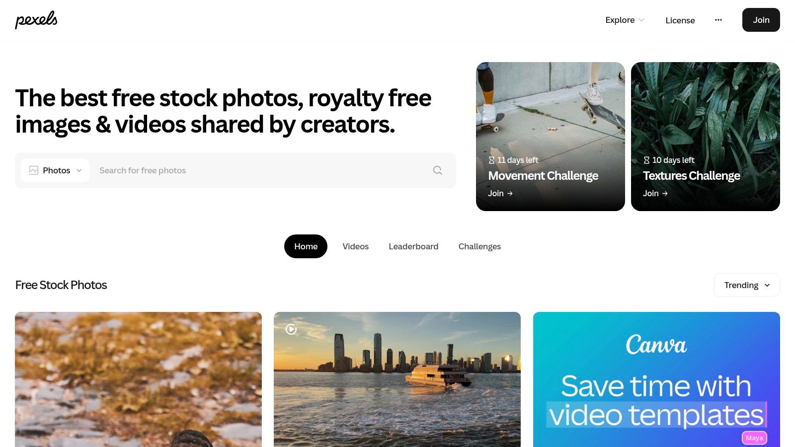 A screenshot of the Pexels website showing a search result page for "lion" with multiple high-quality photos.