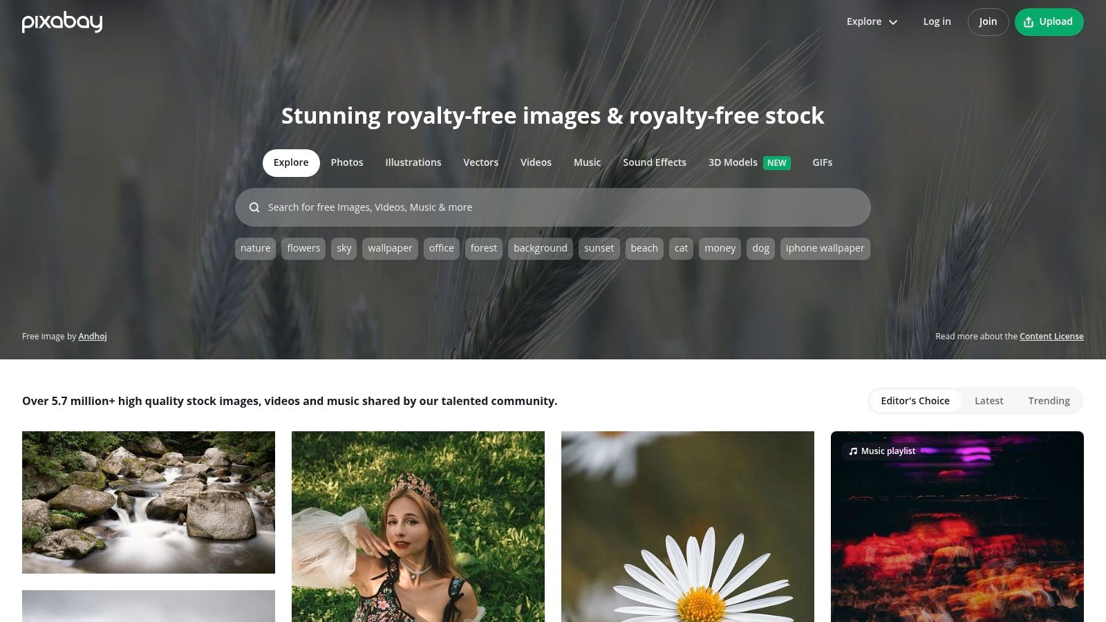 A screenshot of the Pixabay website showing a search bar with "animals" typed in, and a grid of various animal photos below.