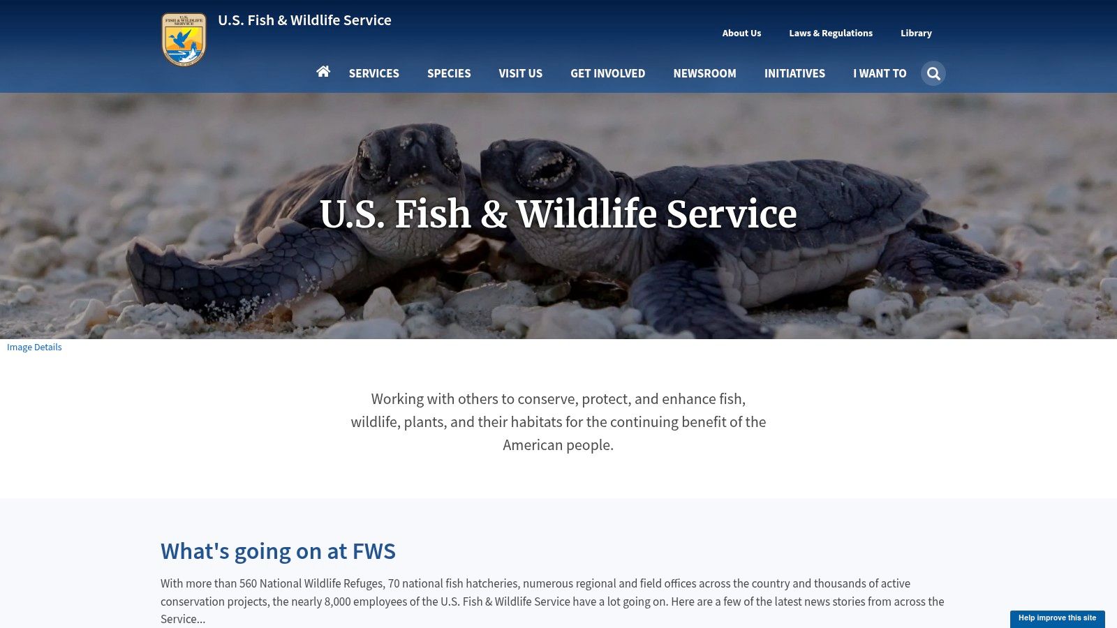 U.S. Fish & Wildlife Service (FWS)