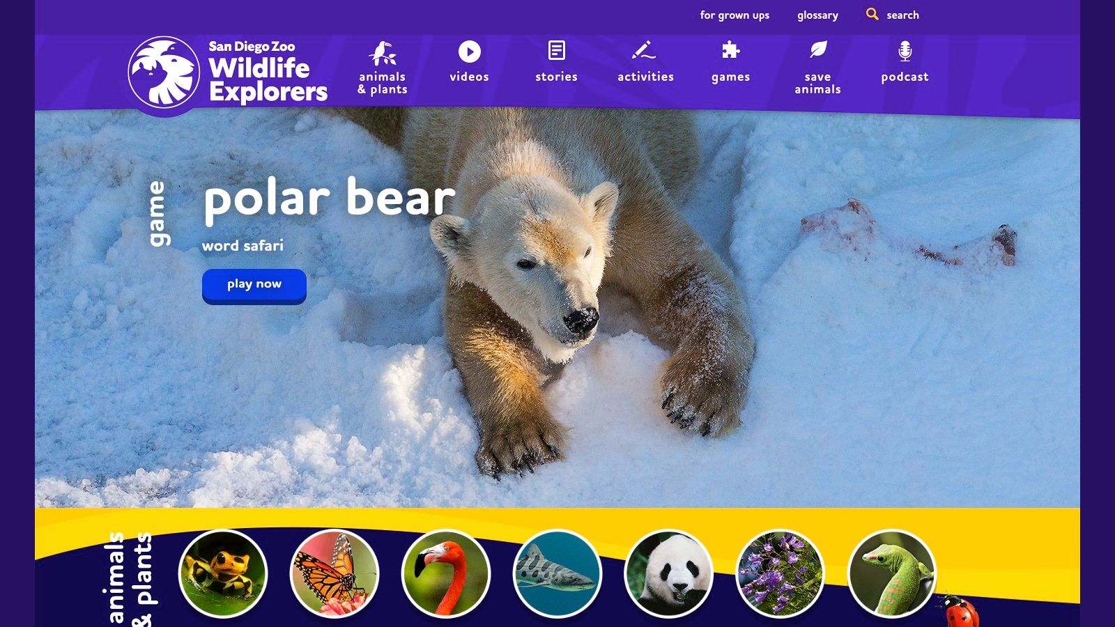 San Diego Zoo Wildlife Explorers