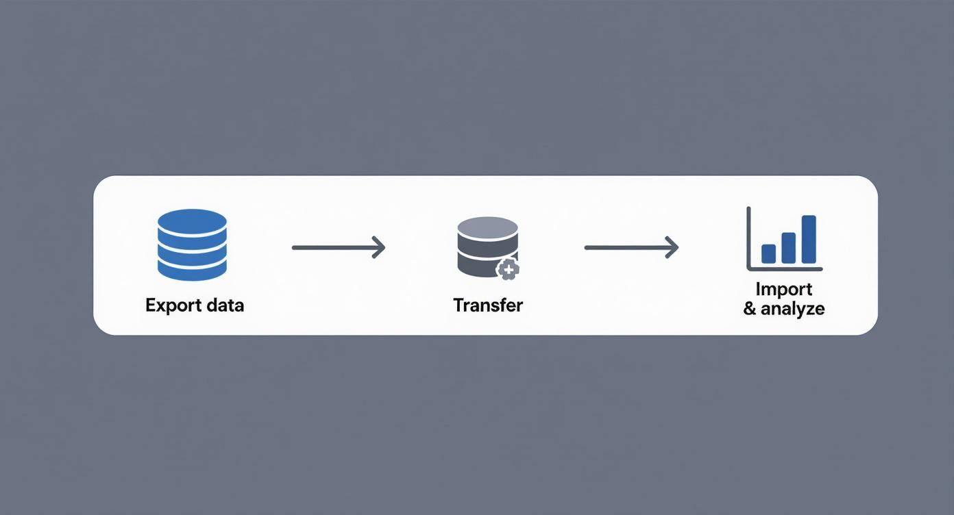 Infographic showing the CSV data workflow from exporting data, to transferring it, to finally importing and analyzing it.