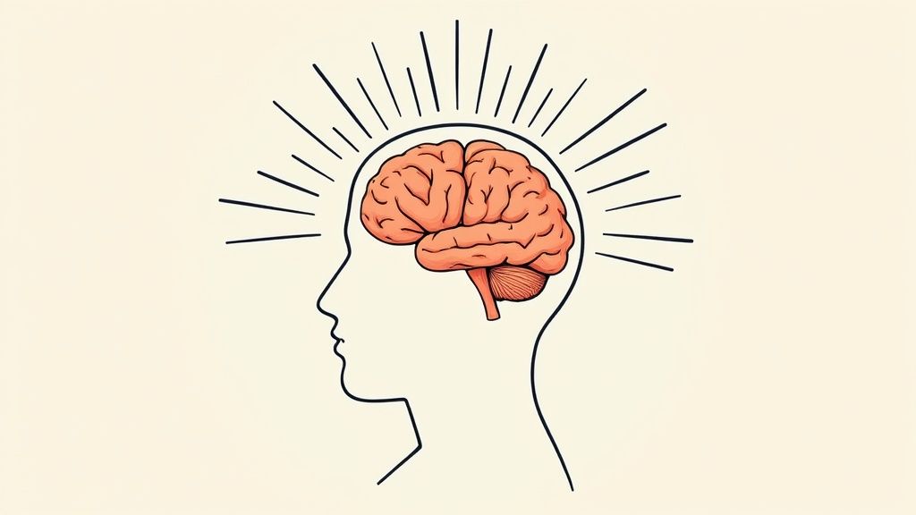 A brain illustration with vibrant colors flowing into the frontal lobe, symbolizing creativity and focus.