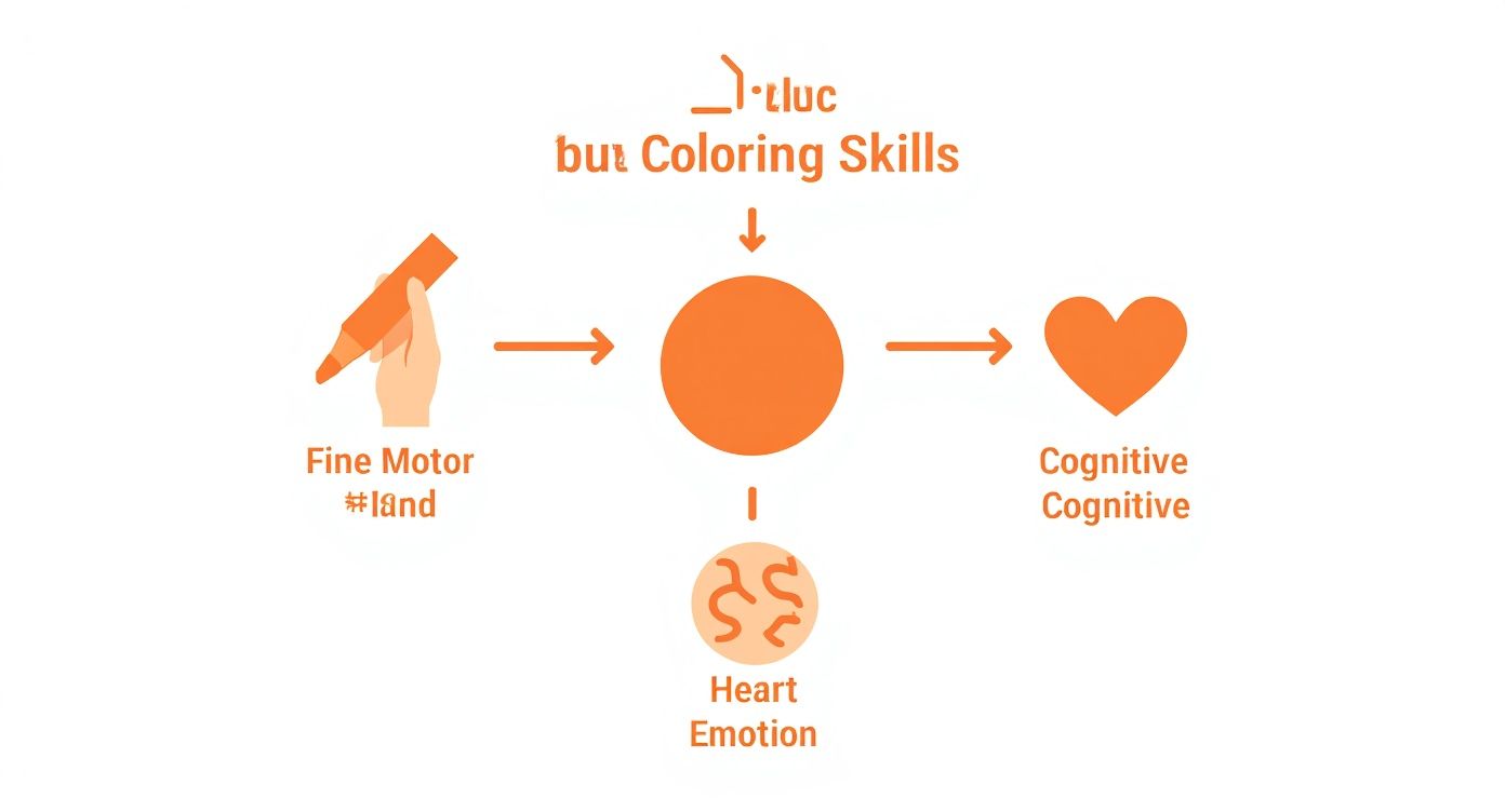 Diagram illustrating how coloring skills contribute to fine motor, cognitive, and emotional development.