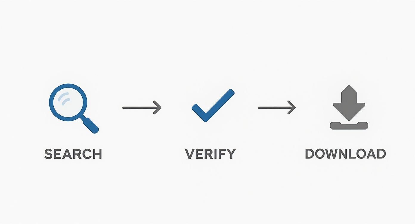 Three step process workflow showing search magnifying glass, verify checkmark, and download arrow icons