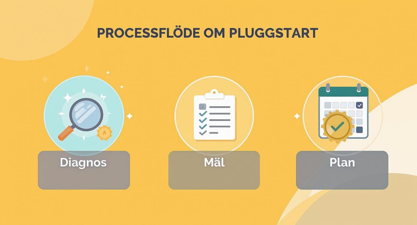 En infographic som illustrerar processflödet för pluggstart med steg som diagnos, mål och plan.