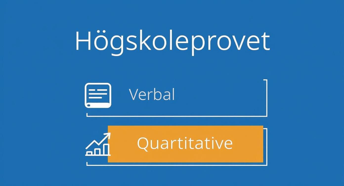 Infographic about vad ingår i högskoleprovet