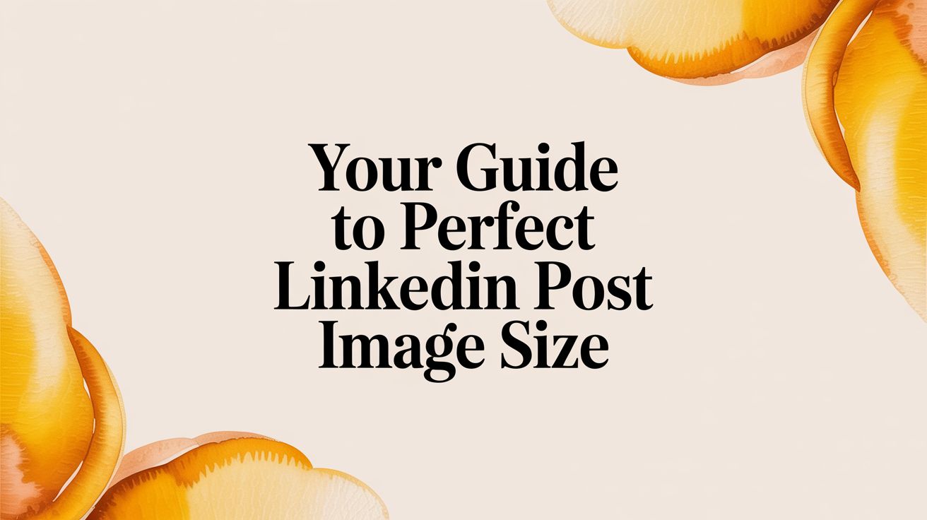 Your Guide to Perfect LinkedIn Post Image Size | GetViews.AI Blog