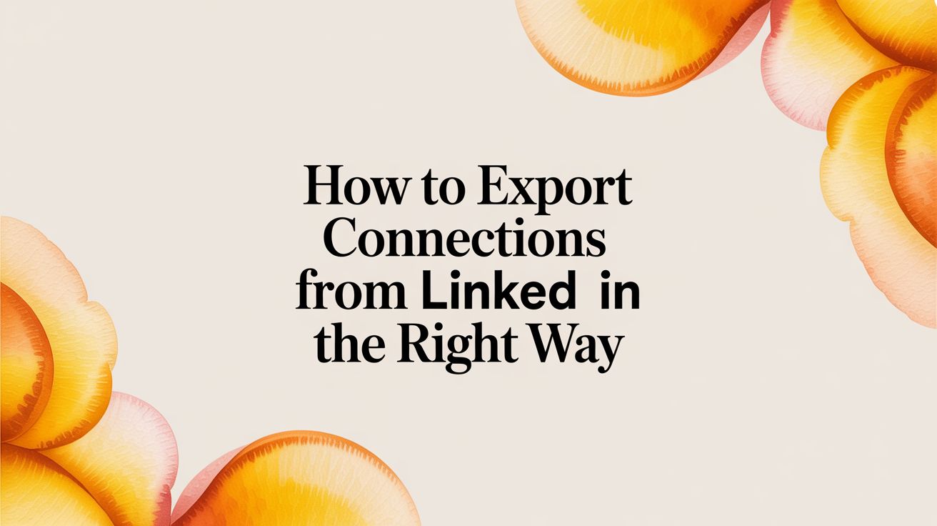 How to Export Connections From LinkedIn The Right Way | GetViews.AI Blog