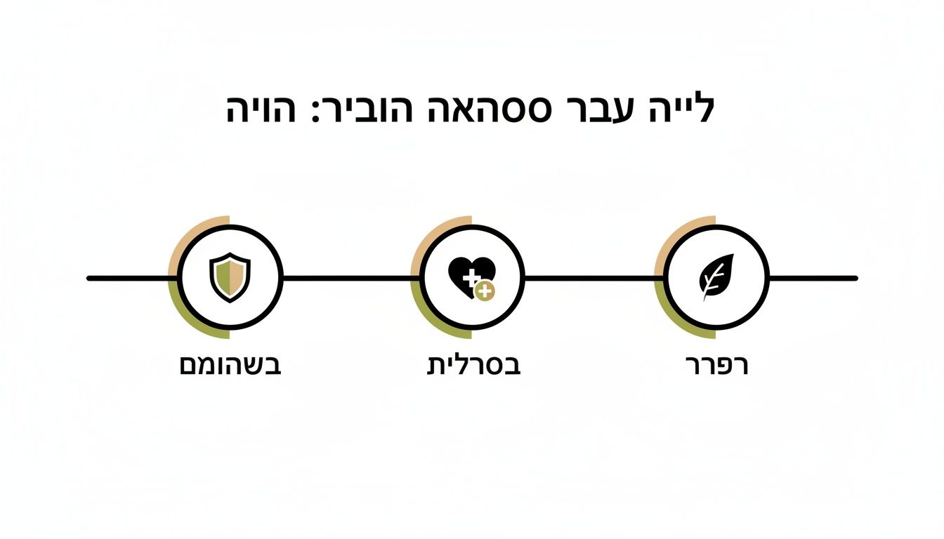 אינפוגרפיקת ציר זמן עם שלושה שלבים: מגן לבטחון, לב עם פלוס לבריאות, ועלעל לטבע.