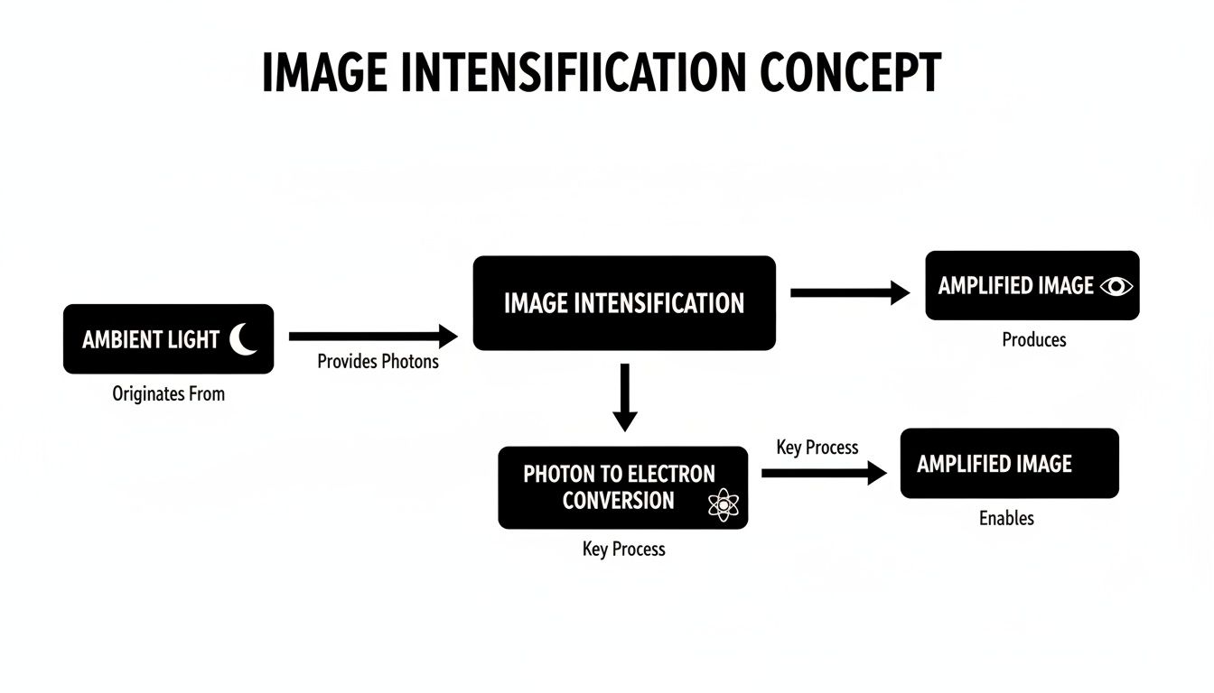Flowchart illustrating the image intensification concept, showing ambient light, photon conversion, and amplified image.
