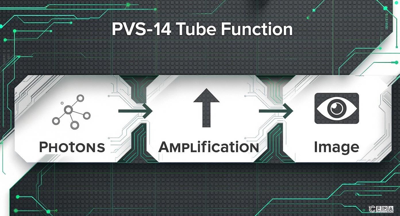 Infographic about pvs 14 image intensifier tube