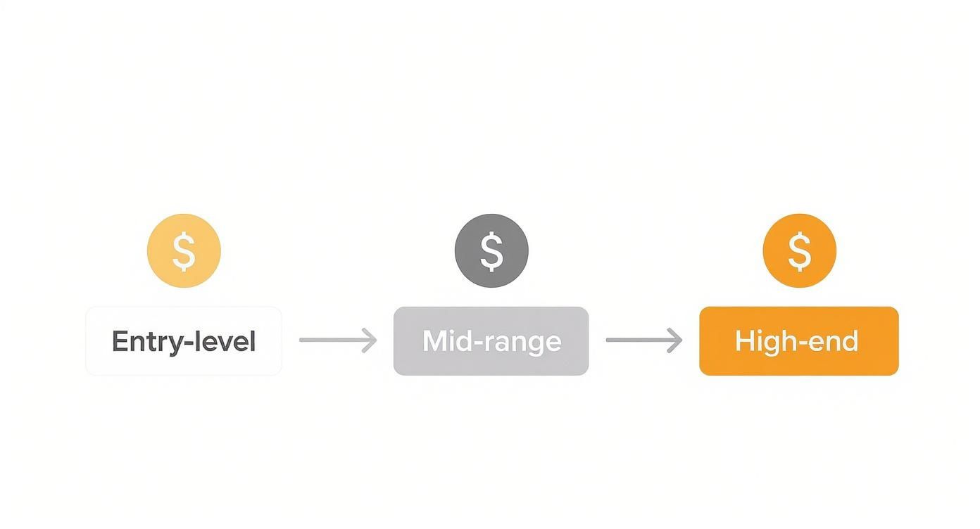 An infographic showing three product price tiers: Entry-level, Mid-range, and High-end, with dollar icons.