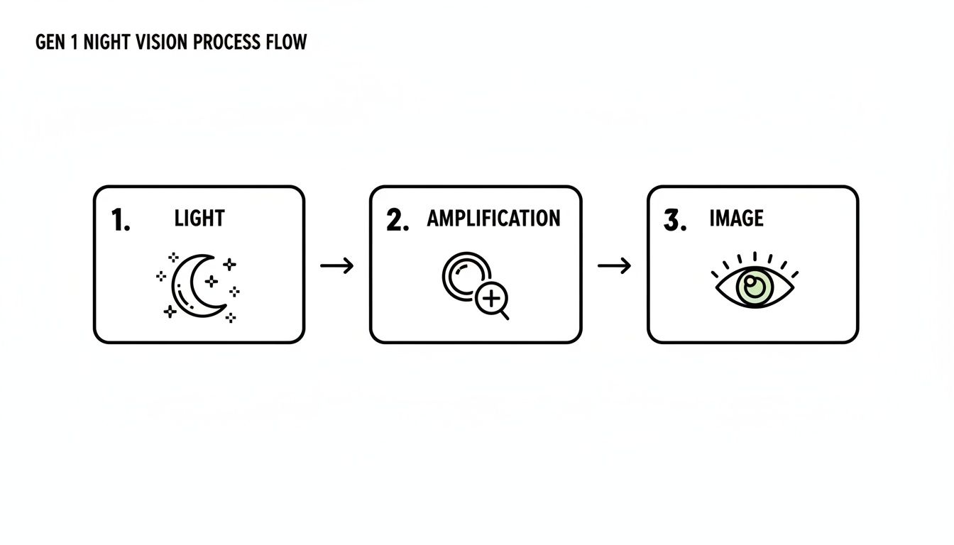 A three-step diagram showing the Gen 1 night vision process: light input, amplification, and final image output.