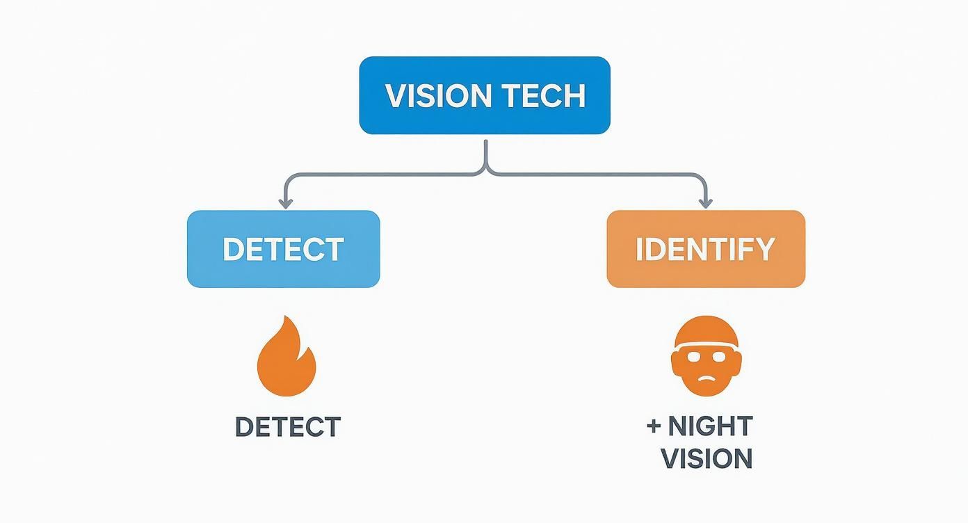 Infographic about thermal imaging vs night vision