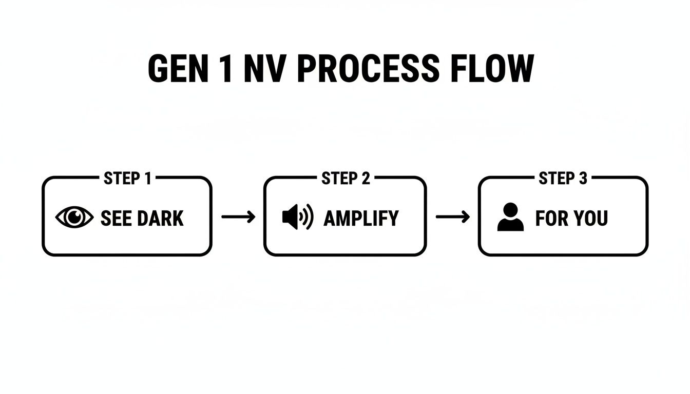 A three-step process flow for Generation 1 Night Vision, showing See Dark, Amplify, and For You.