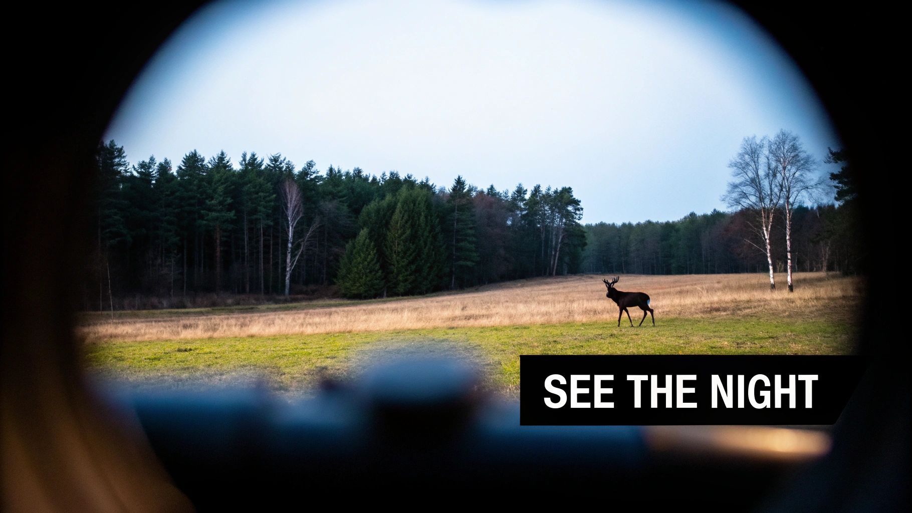A hunter using a night vision scope on a rifle at night