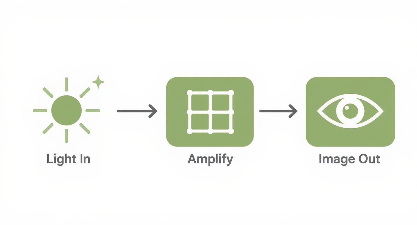 Diagram illustrating the process of light input, amplification, and image output using simple icons.