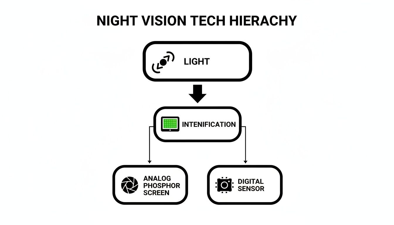 Flowchart showing night vision technology hierarchy from light to intensification, then to analog or digital output.
