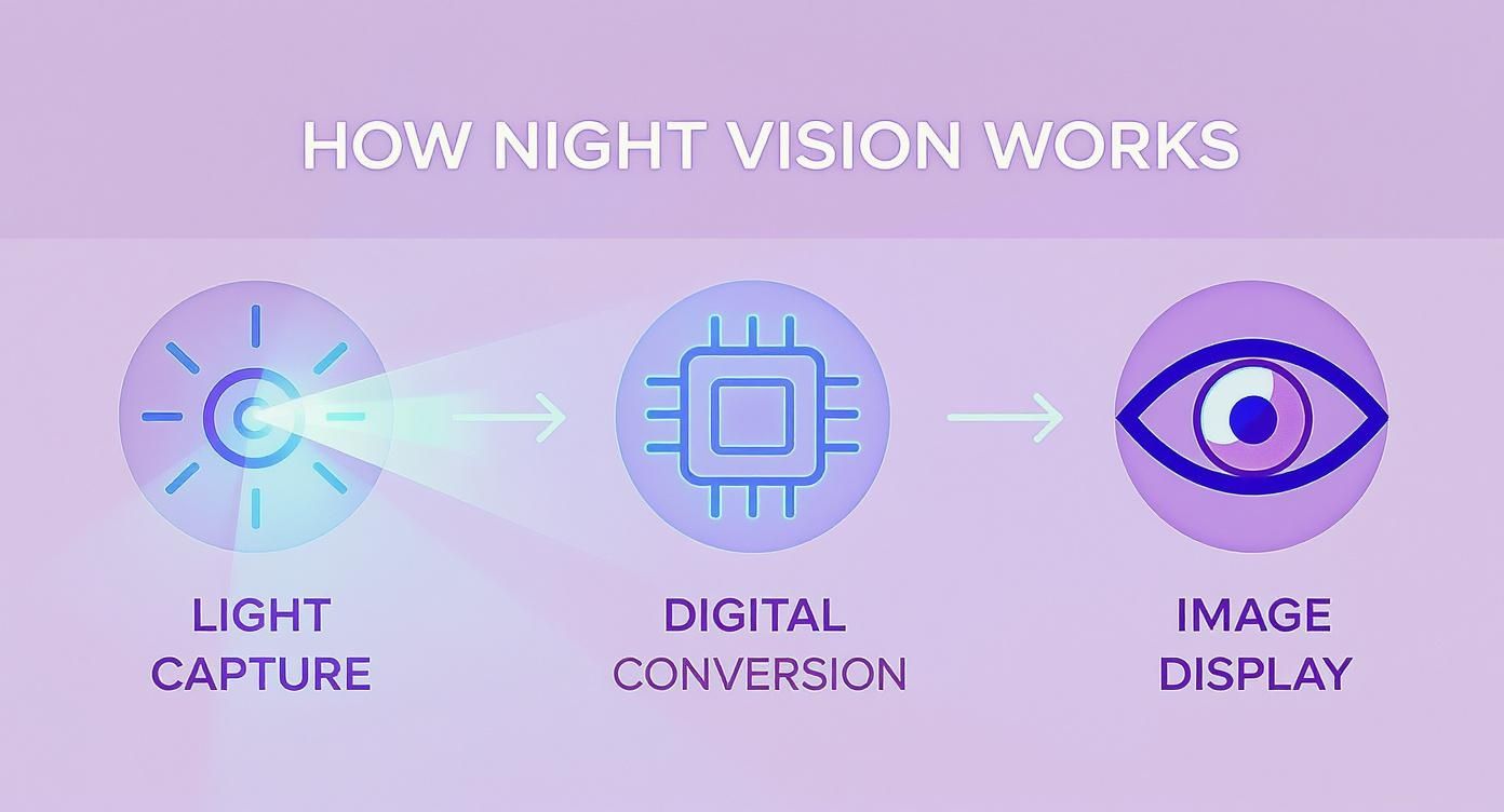Infographic about digital binoculars night vision