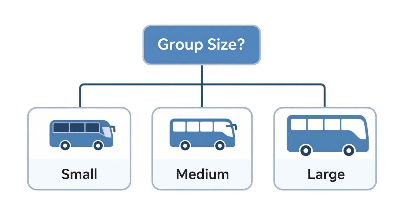 Your Guide to Sydney Charter Bus Hire